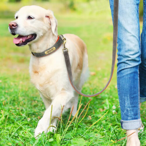 Leather Dog Leash, Durable Walking Training Lead Rope for Small Medium Large Dogs, Pitbull, Pug, German Shepherd - Dog Lea...