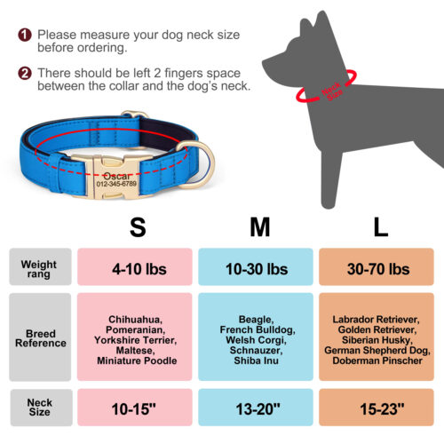 8‑Color Nylon Personalized Dog Collar, Custom ID Breathable Collar for Small & Medium Dogs - Dog Collars - Wholesale...