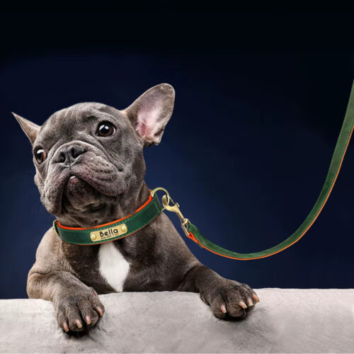 Leather Dog Leash, Durable Walking Training Lead Rope for Small Medium Large Dogs, Pitbull, Pug, German Shepherd - Dog Lea...