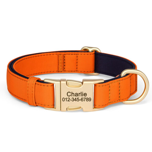 Orange personalized nylon dog collar with custom engraved ID buckle for small medium dogs