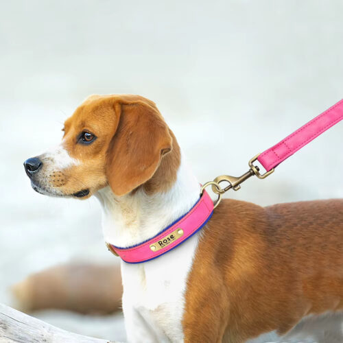 Leather Dog Leash, Durable Walking Training Lead Rope for Small Medium Large Dogs, Pitbull, Pug, German Shepherd - Dog Lea...