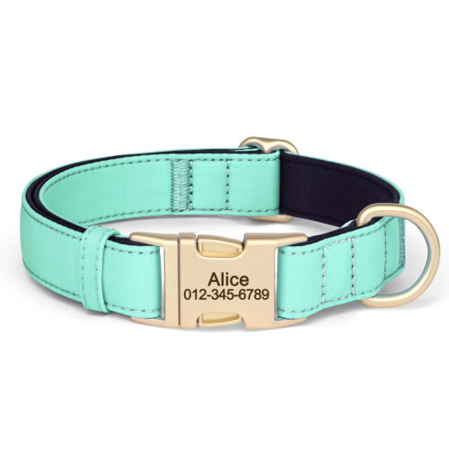 Mint green personalized nylon dog collar with custom engraved ID buckle for small medium dogs