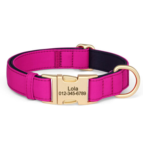 Fuchsia personalized nylon dog collar with custom engraved ID buckle for small medium dogs