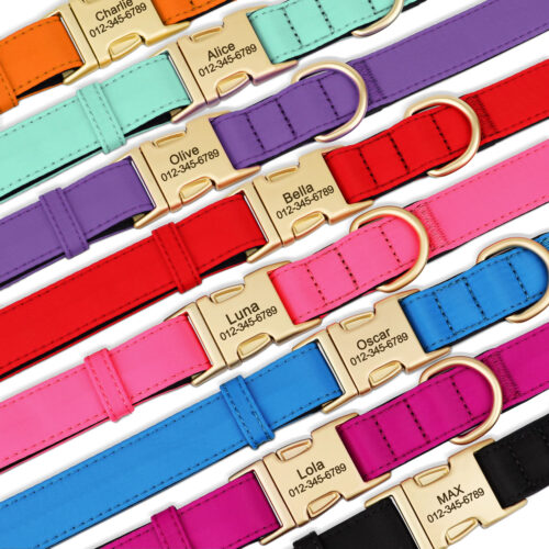 8‑Color Nylon Personalized Dog Collar, Custom ID Breathable Collar for Small & Medium Dogs - Dog Collars - Wholesale...