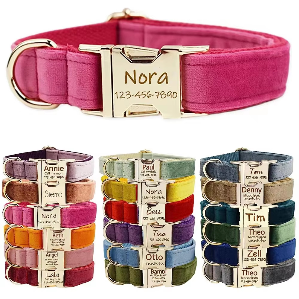 personalized engraved nylon dog collar multi‑color wholesale pet supplies