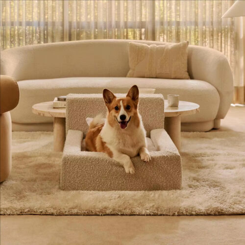 Dog Beds