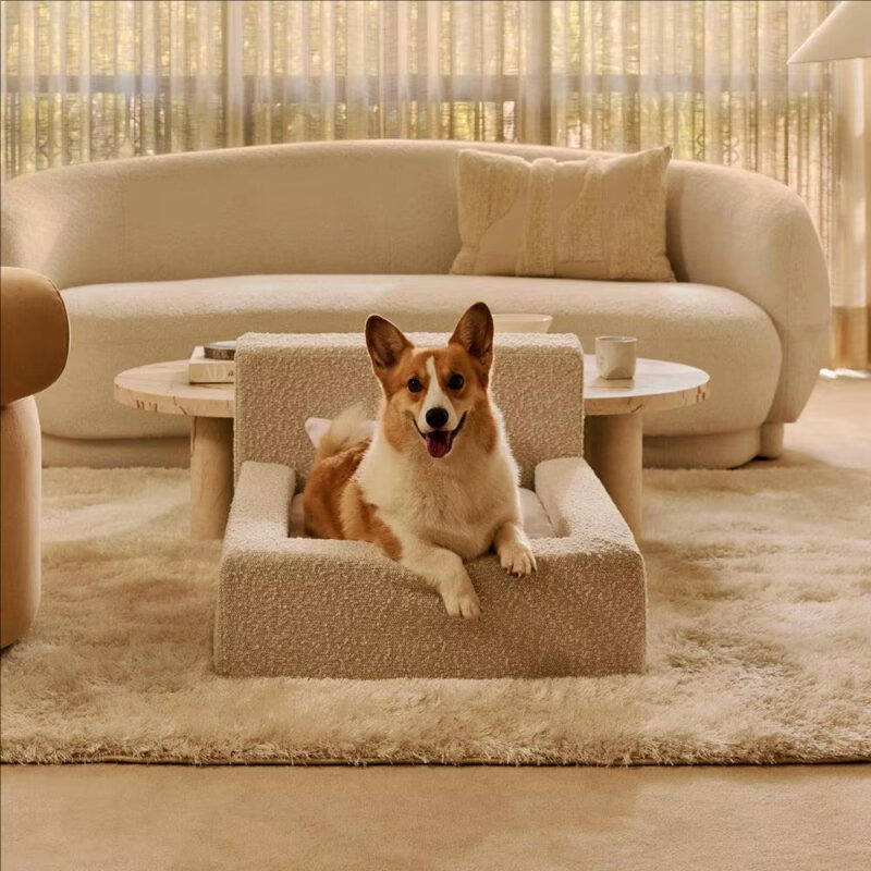 Foldable Luxury Pet Sofa Bed, Washable Removable Cover Solid Foam Cute Animal Design Dog Couch, S-XL Sizes - Cat Beds - du...