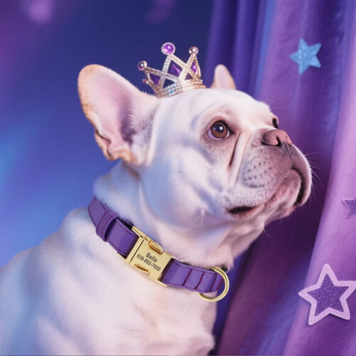 8‑Color Nylon Personalized Dog Collar, Custom ID Breathable Collar for Small & Medium Dogs - Dog Collars - Wholesale...