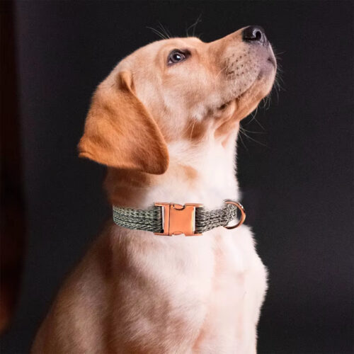 Adjustable Linen Dog Collar & Leash Set, Metal Buckle Pet Walking Training Towing Rope for Dogs - Dog Collars - Wholes...