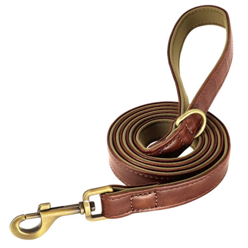 Pet Accessories