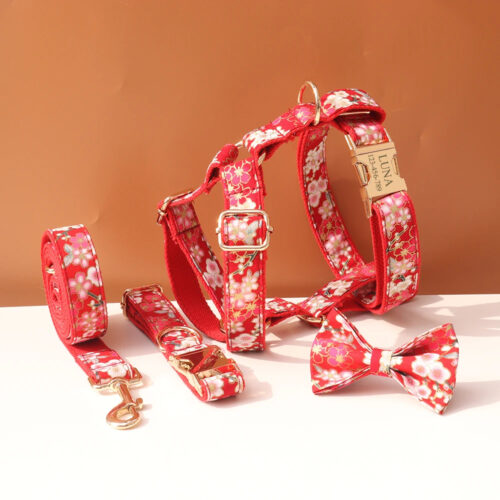 Pet Accessories
