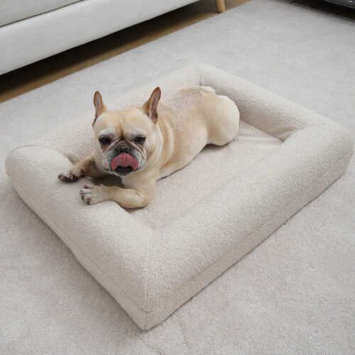 Pet Supplies