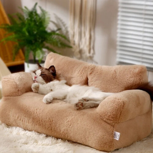 Plush Pet Sofa Bed with Pillow | Removable Washable Cover for Cats & Small Medium Dogs - Cat Beds - dute.fsxlbwindows.com