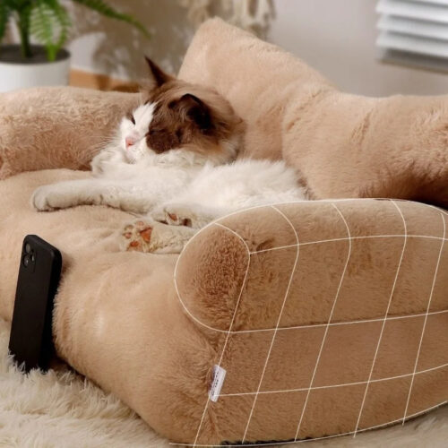 Plush Pet Sofa Bed with Pillow | Removable Washable Cover for Cats & Small Medium Dogs - Cat Beds - dute.fsxlbwindows.com