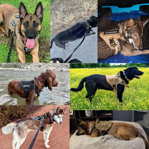 Tactical Dog Harness Collar Leash Set, Adjustable No Pull Pet Vest for Medium Large Dogs German Shepherd Outdoor Training ...