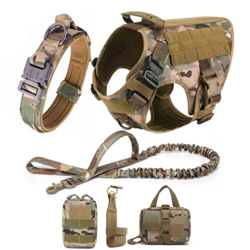 Pet Accessories