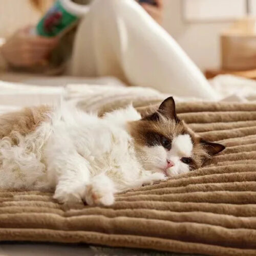 All Season Warm Pet Mat for Cats & Dogs - Pet Beds & Mats - Wholesale Custom Pet Supplies & Pet Products Manuf...