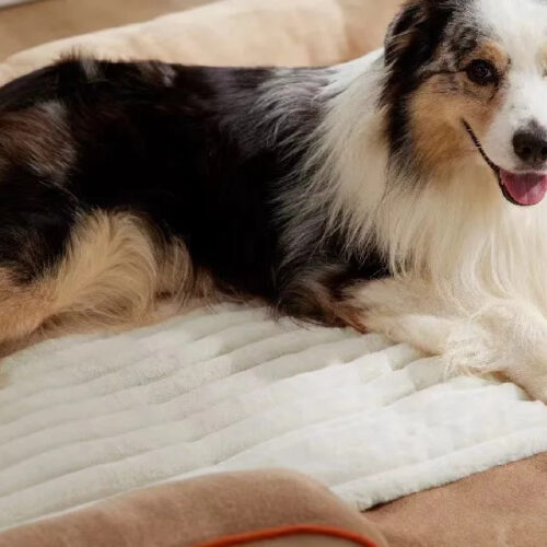 All Season Warm Pet Mat for Cats & Dogs - Pet Beds & Mats - Wholesale Custom Pet Supplies & Pet Products Manuf...