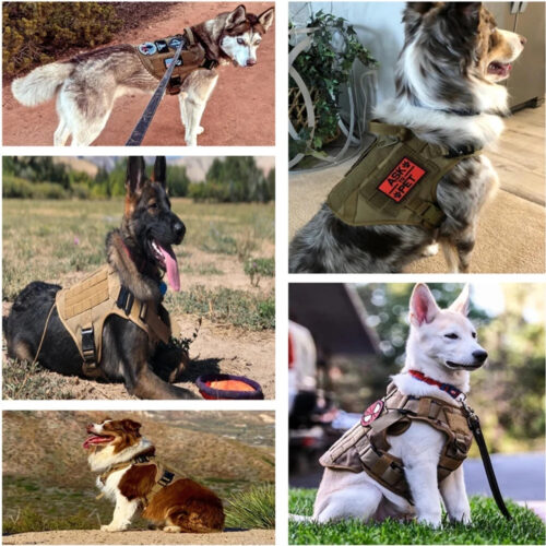 Tactical Dog Harness Collar Leash Set, Adjustable No Pull Pet Vest for Medium Large Dogs German Shepherd Outdoor Training ...