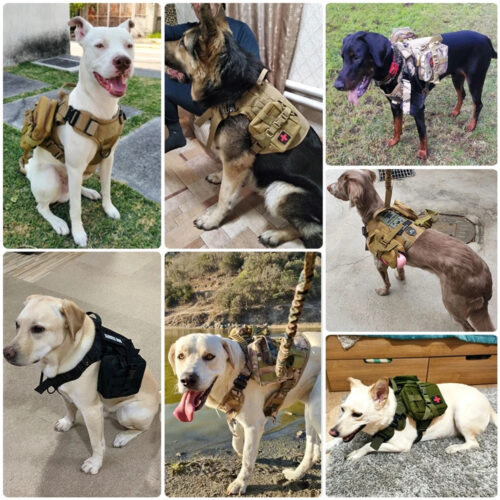 Tactical Dog Harness Collar Leash Set, Adjustable No Pull Pet Vest for Medium Large Dogs German Shepherd Outdoor Training ...
