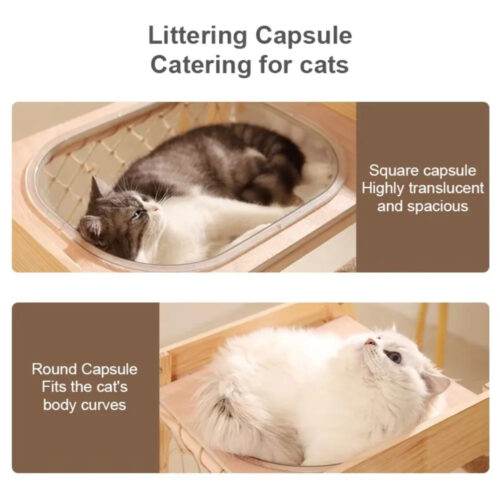 Cute cat resting on solid‑wood cat tree hammock