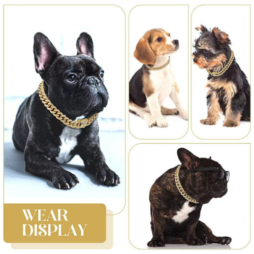 cuban link dog collar wear display for different breed dogs