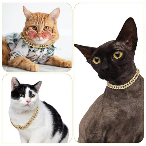 cuban link pet collar for cat multiple cat breeds display