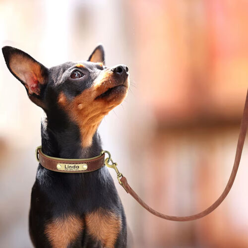 Leather Dog Leash, Durable Walking Training Lead Rope for Small Medium Large Dogs, Pitbull, Pug, German Shepherd - Dog Lea...