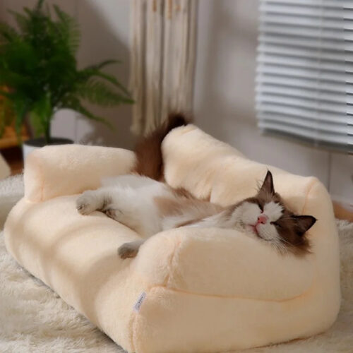 Cat Beds